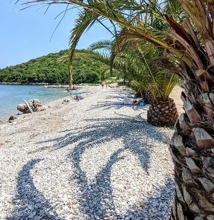 Taraca 2 Lejlighed
